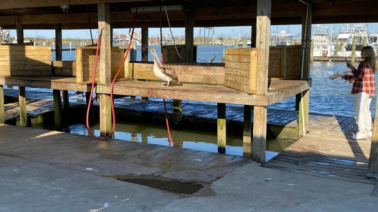 Resort Lodging At Venice Marina W/ Wifi + Private Dock Kültér fotó